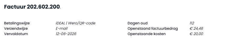 Screenshot voorbeeld losse factuur 1