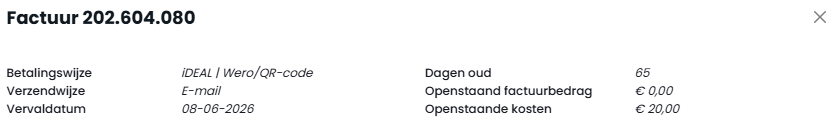 Screenshot voorbeeld losse factuur 2